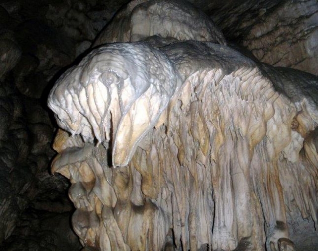  Descubrimientos excepcionales 